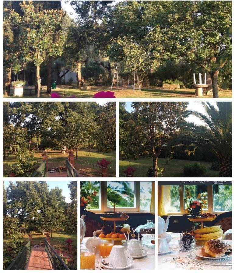 B&B Le Cinque Querce Viterbe Extérieur photo