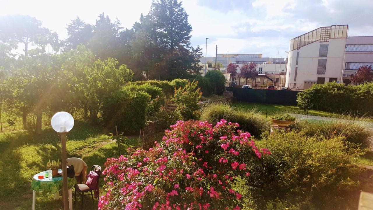 B&B Le Cinque Querce Viterbe Extérieur photo